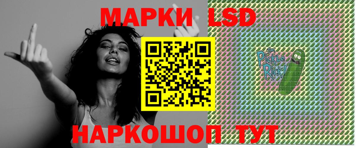 Губкинский  что такое   Вход с VPN  Марки N-bome 1,8мг  Марки N-bome 1,8мг 