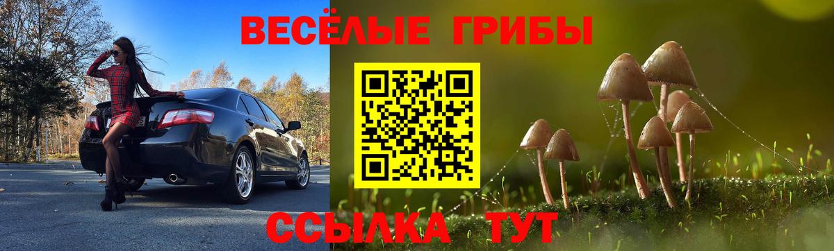 Псилоцибиновые грибы Magic Shrooms  Псилоцибиновые грибы мухоморы  Вход с VPN  Губкинский 